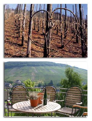 Fotogalerie Vorschau Fotogalerie Vorschau